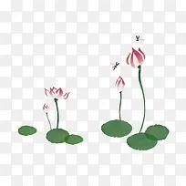 手绘池塘小荷-空若网 手绘池塘小荷-空若网