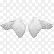 翅膀白色翅膀天使精灵装饰-空若网 翅膀白色翅膀天使精灵装饰-空若网