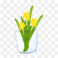 杯中的小黄花-空若网 杯中的小黄花-空若网
