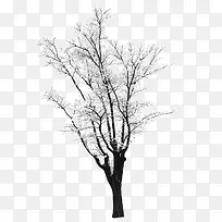 高清摄影创意白色的雪景树木-空若网 高清摄影创意白色的雪景树木-空若网