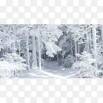 ��ɫ�����ѩ����Ӱ-������