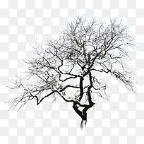 高清摄影雪景树木-空若网 高清摄影雪景树木-空若网