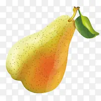 一个金色的梨子-空若网 一个金色的梨子-空若网