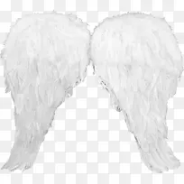 白色翅膀-空若网 白色翅膀-空若网