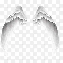 ��ɫƯ����ʹ���-������