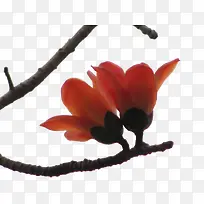 �����ɫľ�޻�-������