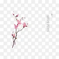 手绘花卉-空若网 手绘花卉-空若网