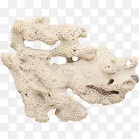 棕色创意珊瑚-空若网 棕色创意珊瑚-空若网