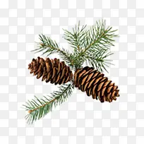 ����ʵ��-������