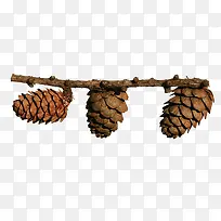 ����ʵ��-������