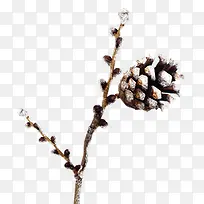 ����ʵ��-������