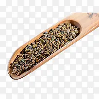 一铲决明子-空若网 一铲决明子-空若网