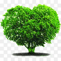 桃心样式绿色大树-空若网 桃心样式绿色大树-空若网