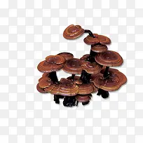 ������֥-������