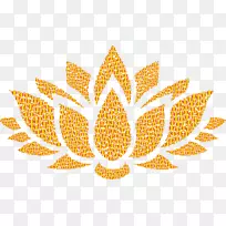 �����廨����-����-������