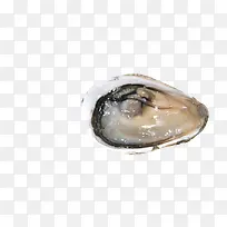 ���ʲ������-������