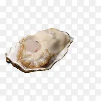 �����������-������