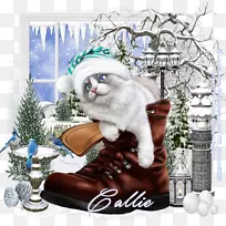 猫博客LiveInternetCarnivora-穿着靴子的猫-空若网 猫博客LiveInternetCarnivora-穿着靴子的猫-空若网