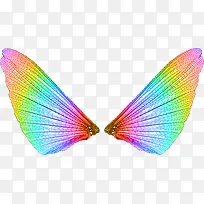 彩色翅膀-空若网 彩色翅膀-空若网