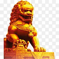 高清实拍摄影狮子-空若网 高清实拍摄影狮子-空若网