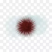 桌面壁纸特写电脑天空电脑壁纸红鱼-空若网 桌面壁纸特写电脑天空电脑壁纸红鱼-空若网