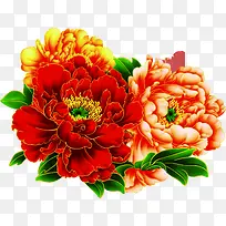 鲜艳彩色国花牡丹-空若网 鲜艳彩色国花牡丹-空若网