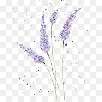 ���µ���޹�²�-������