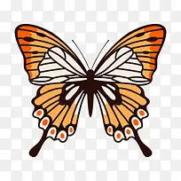 »Æ»ÒÉ«µÄÀ¥³æºûµû-¿ÕÈôÍø »Æ»ÒÉ«µÄÀ¥³æºûµû-¿ÕÈôÍø