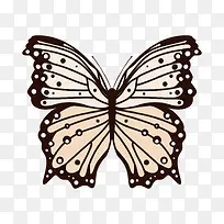 灰色的点状昆虫蝴蝶-空若网 灰色的点状昆虫蝴蝶-空若网