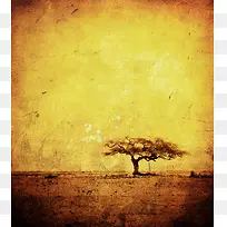 ������ľ�����ز�-������