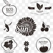 �ƺ�ʳ��ʸ��-������