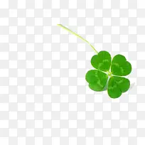 幸运四叶草-空若网 幸运四叶草-空若网