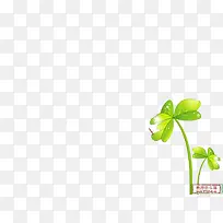 幸运的四叶草-空若网 幸运的四叶草-空若网