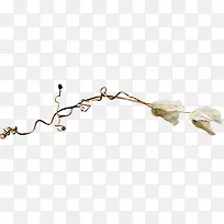 棕色枝条-空若网 棕色枝条-空若网