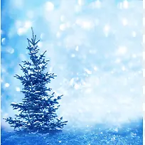 树树与光斑-空若网 树树与光斑-空若网