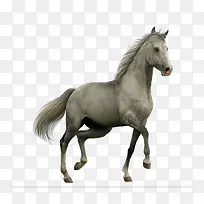 ����-������