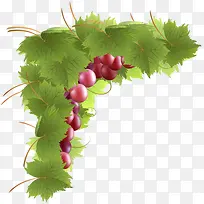 卡通水果装饰-空若网 卡通水果装饰-空若网