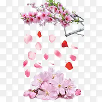 �һ��������-������