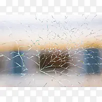 ²£Á§ÉϵÄÓãÁÛÁÑÎÆ-¿ÕÈôÍø ²£Á§ÉϵÄÓãÁÛÁÑÎÆ-¿ÕÈôÍø