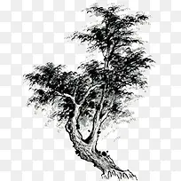 手绘装饰树-空若网 手绘装饰树-空若网