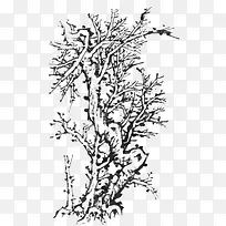手绘大树-空若网 手绘大树-空若网