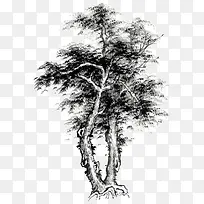 ¹ú»Ê÷-¿ÕÈôÍø ¹ú»Ê÷-¿ÕÈôÍø