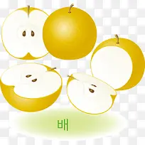 韩国风格精美诱人水果矢量素材梨-空若网 韩国风格精美诱人水果矢量素材梨-空若网