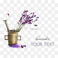 薰衣草小清新元素-空若网 薰衣草小清新元素-空若网