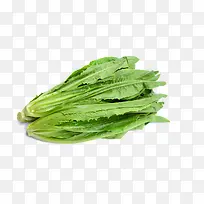 新鲜的蔬菜素材图片-空若网 新鲜的蔬菜素材图片-空若网