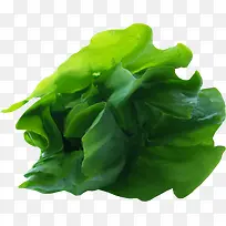 绿色蔬菜叶-空若网 绿色蔬菜叶-空若网