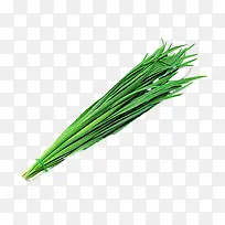 绿色蔬菜 韭菜-空若网 绿色蔬菜 韭菜-空若网