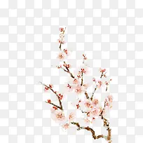 桃花树枝-空若网 桃花树枝-空若网