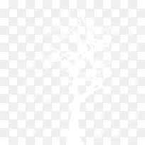 ´¿°×É«Ê÷Ö¦-¿ÕÈôÍø ´¿°×É«Ê÷Ö¦-¿ÕÈôÍø