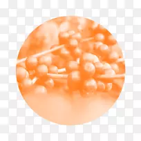 ��Ʒ����Ũ������cerrado���Ȳ�-�޷�-������